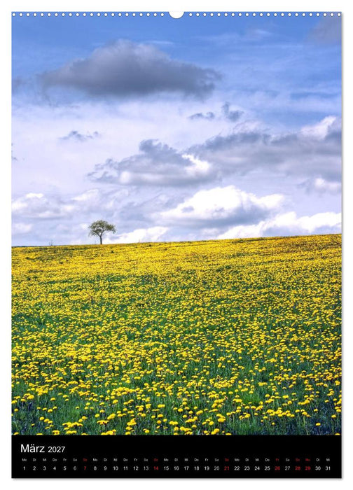 Landschaften (CALVENDO Premium Wandkalender 2027)