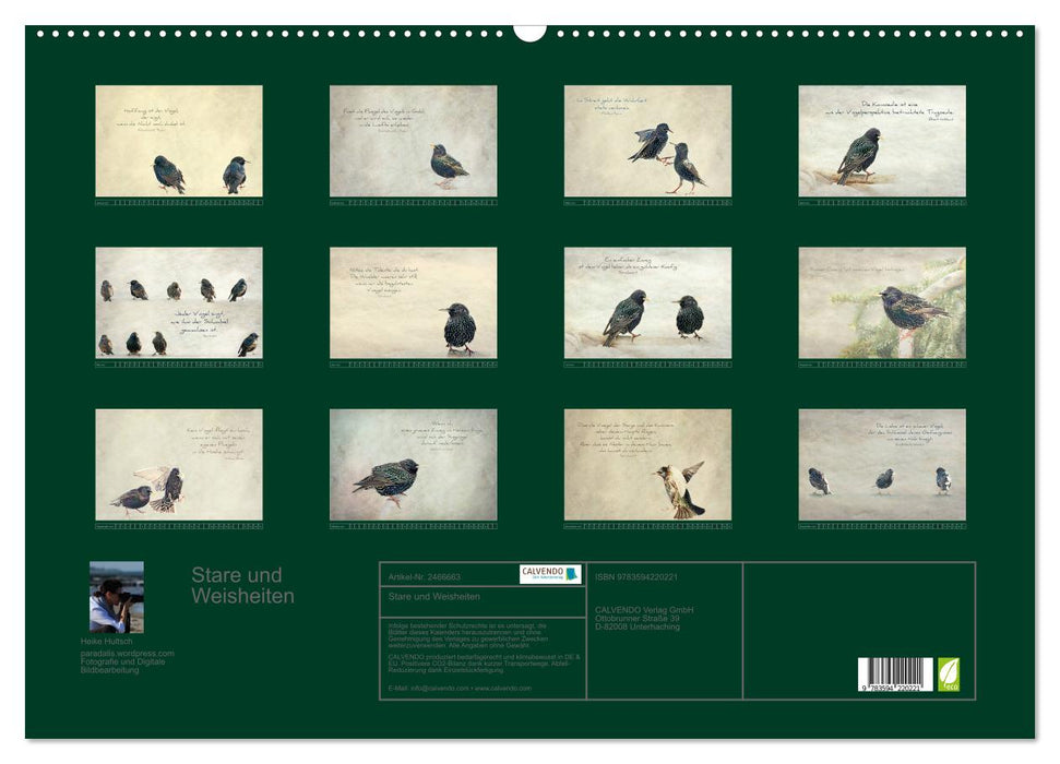 Stare und Weisheiten (CALVENDO Wandkalender 2027)