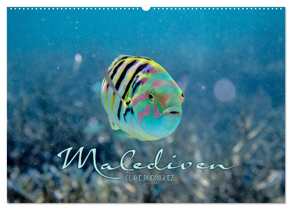 Unterwasserwelt der Malediven II (CALVENDO Wandkalender 2027)