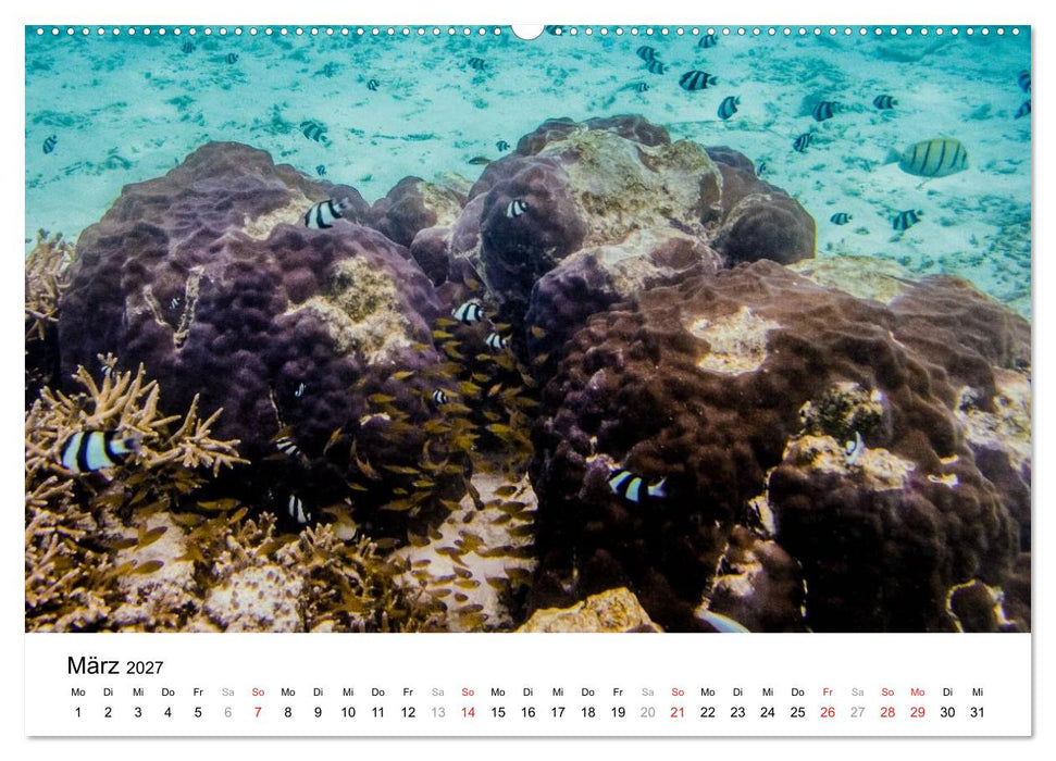 Unterwasserwelt der Malediven II (CALVENDO Wandkalender 2027)
