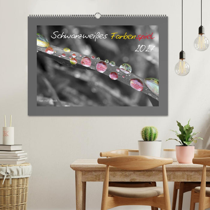Schwarzweißes Farbenspiel 2027 (CALVENDO Wandkalender 2027)