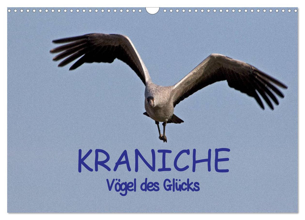 Kraniche - Vögel des Glücks (CALVENDO Wandkalender 2027)