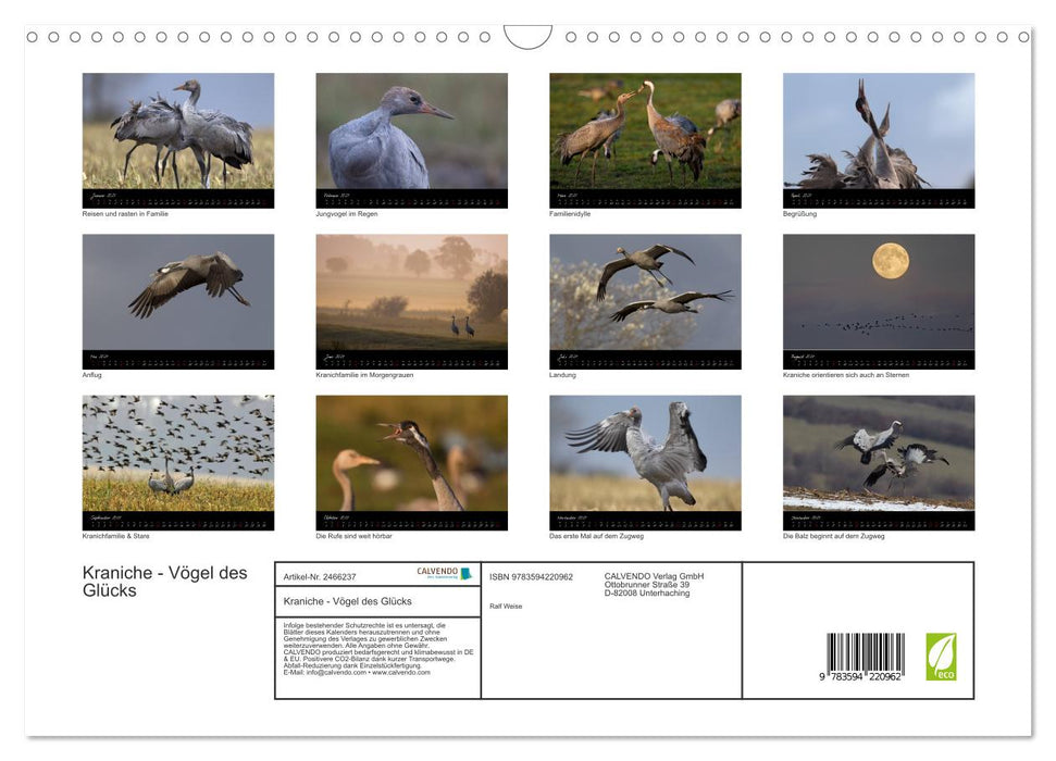 Kraniche - Vögel des Glücks (CALVENDO Wandkalender 2027)