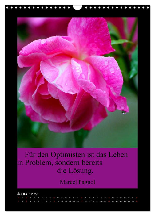 Lebensweisheiten mit Blumigen Grüßen (CALVENDO Wandkalender 2027)
