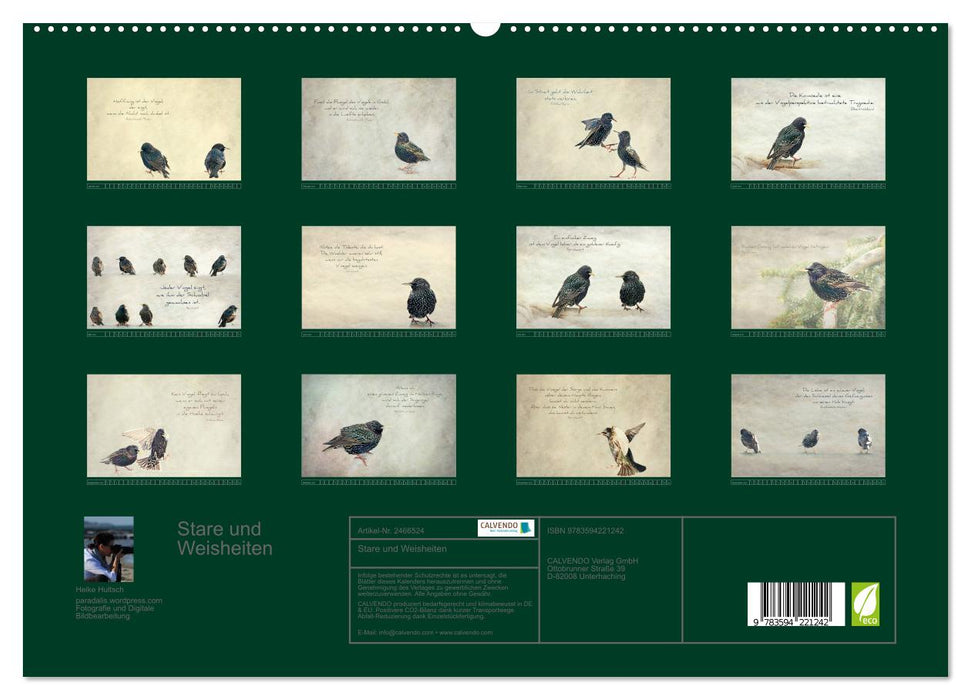 Stare und Weisheiten (CALVENDO Premium Wandkalender 2027)