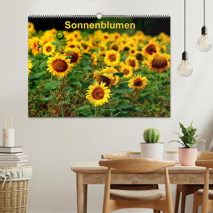 Sonnenblumen (CALVENDO Wandkalender 2027)