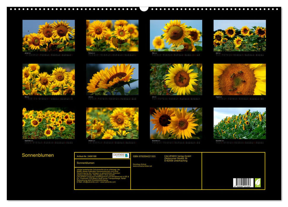 Sonnenblumen (CALVENDO Wandkalender 2027)