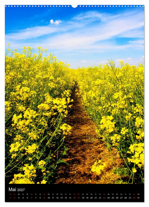 Landschaften (CALVENDO Wandkalender 2027)