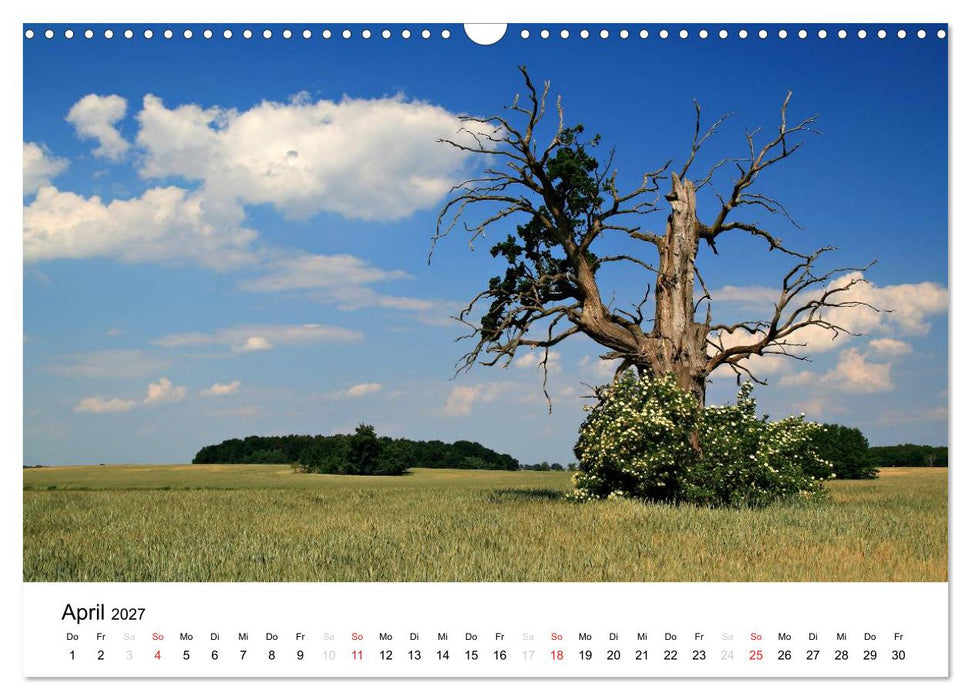 Landschaften (CALVENDO Wandkalender 2027)