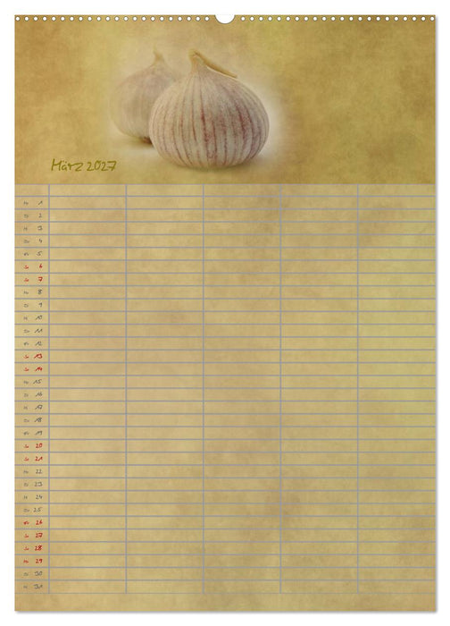 Familienplaner für die Küche. (CALVENDO Wandkalender 2027)