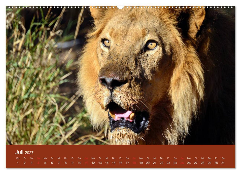 Namibia (CALVENDO Premium Wandkalender 2027)