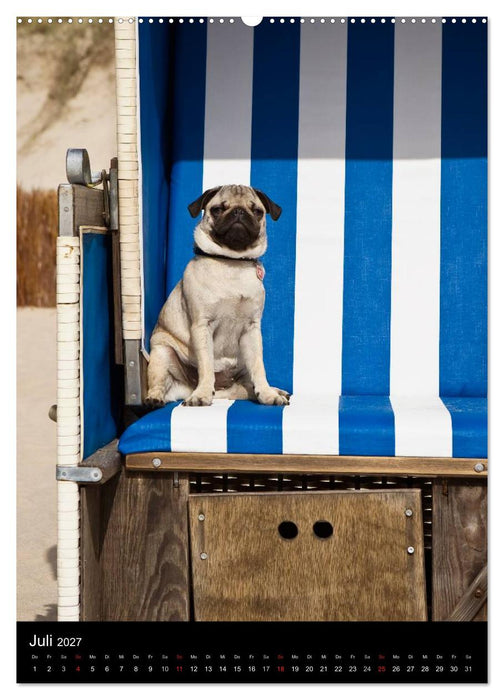 Das Mops-Jahr 2027 (CALVENDO Premium Wandkalender 2027)