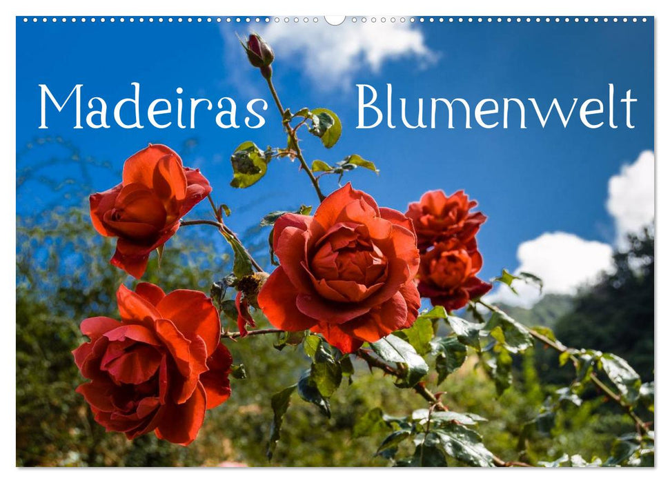 Madeiras Blumenwelt (CALVENDO Wandkalender 2027)
