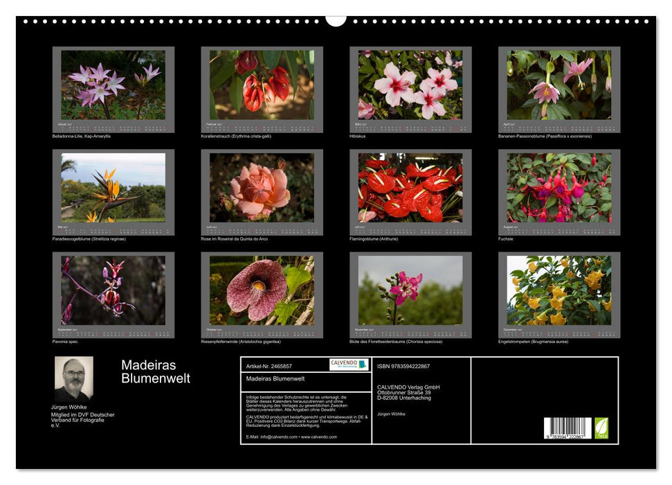 Madeiras Blumenwelt (CALVENDO Wandkalender 2027)
