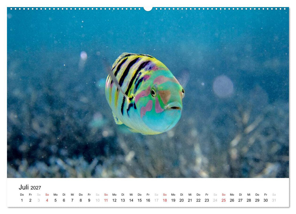Malediven - Das Paradies im Indischen Ozean I (CALVENDO Premium Wandkalender 2027)