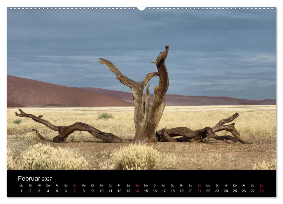 Wüstenzauber Namibia (CALVENDO Wandkalender 2027)
