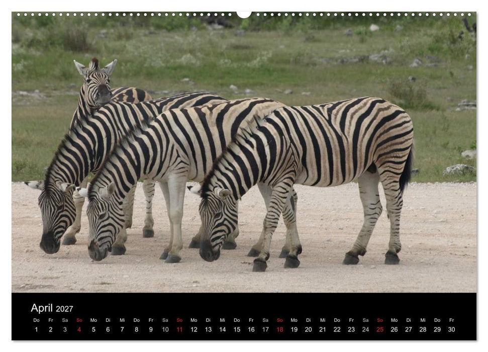 Wüstenzauber Namibia (CALVENDO Wandkalender 2027)