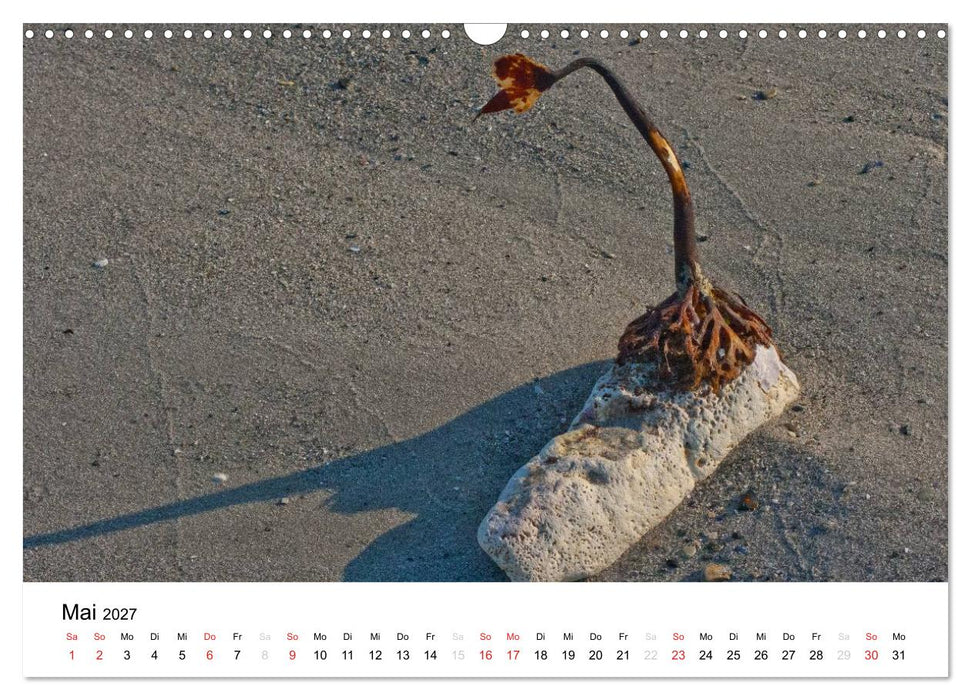 Helgoland (CALVENDO Wandkalender 2027)