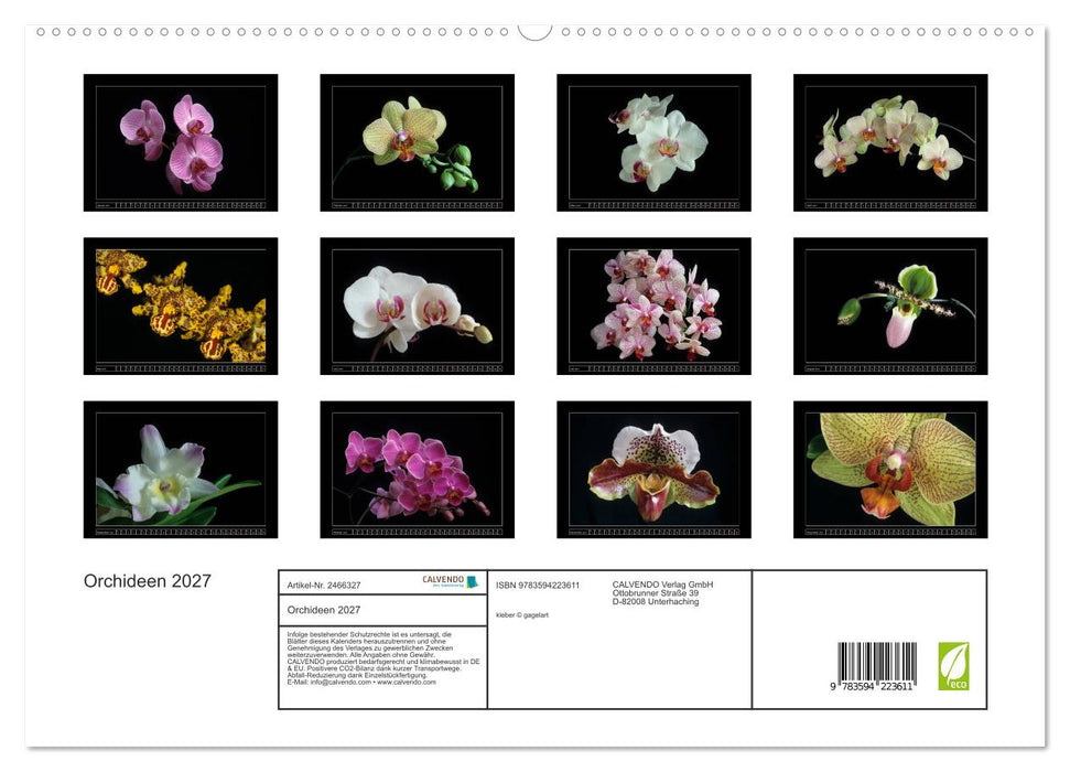 Orchideen 2027 (CALVENDO Premium Wandkalender 2027)
