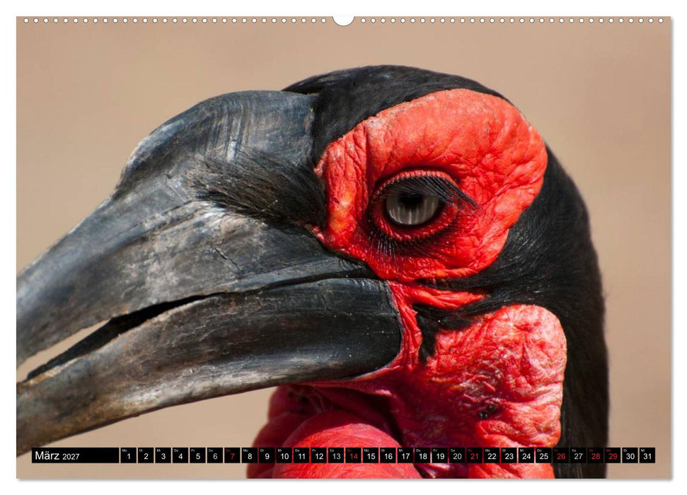Südafrika (CALVENDO Premium Wandkalender 2027)