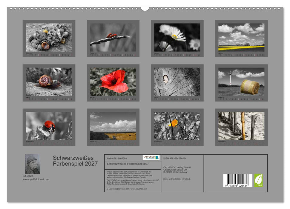 Schwarzweißes Farbenspiel 2027 (CALVENDO Premium Wandkalender 2027)