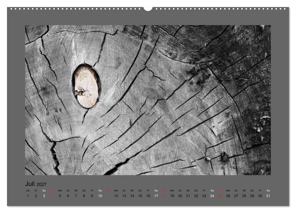 Schwarzweißes Farbenspiel 2027 (CALVENDO Premium Wandkalender 2027)
