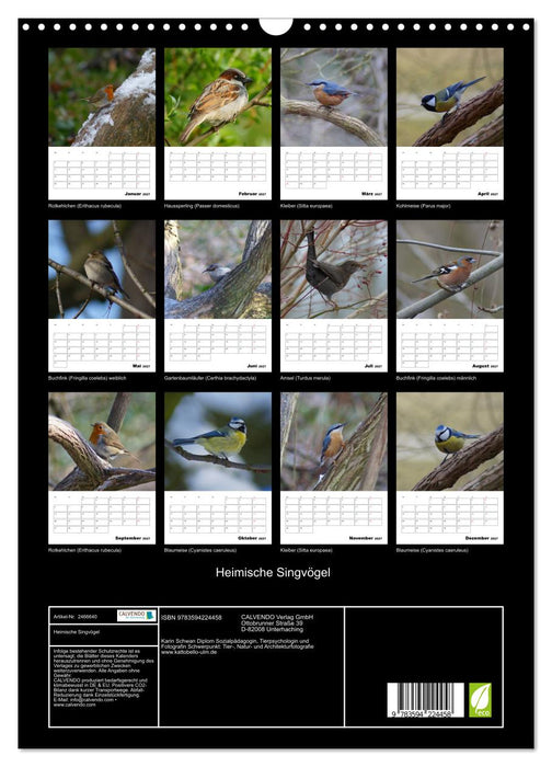 Heimische Singvögel (CALVENDO Wandkalender 2027)