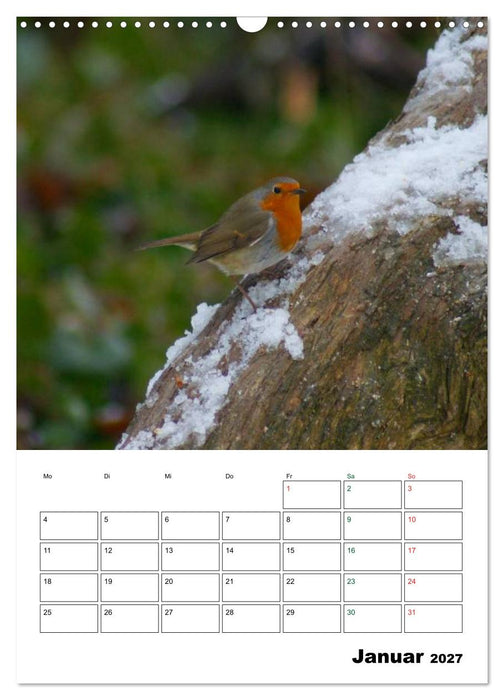 Heimische Singvögel (CALVENDO Wandkalender 2027)