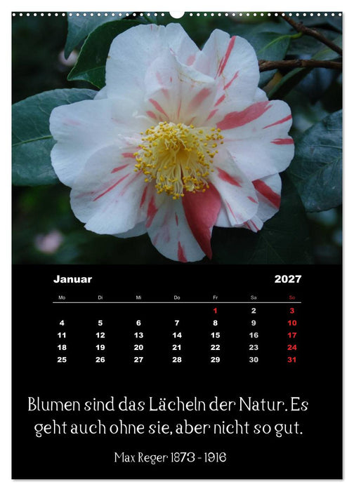 Sprüche und Zitate berühmter Personen über Blumen und Natur (CALVENDO Premium Wandkalender 2027)