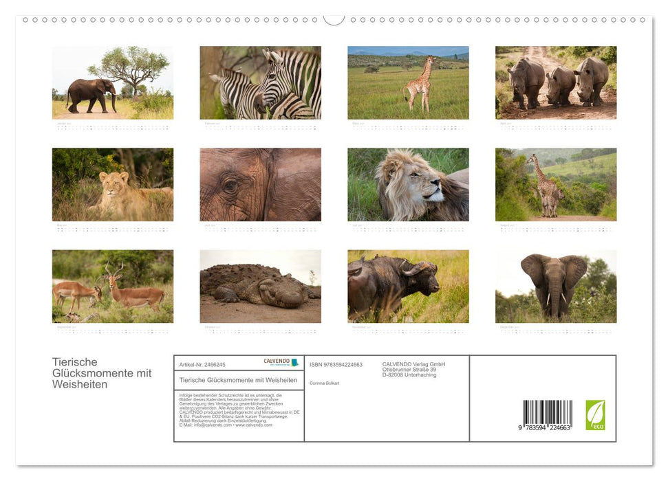 Tierische Glücksmomente mit Weisheiten (CALVENDO Premium Wandkalender 2027)