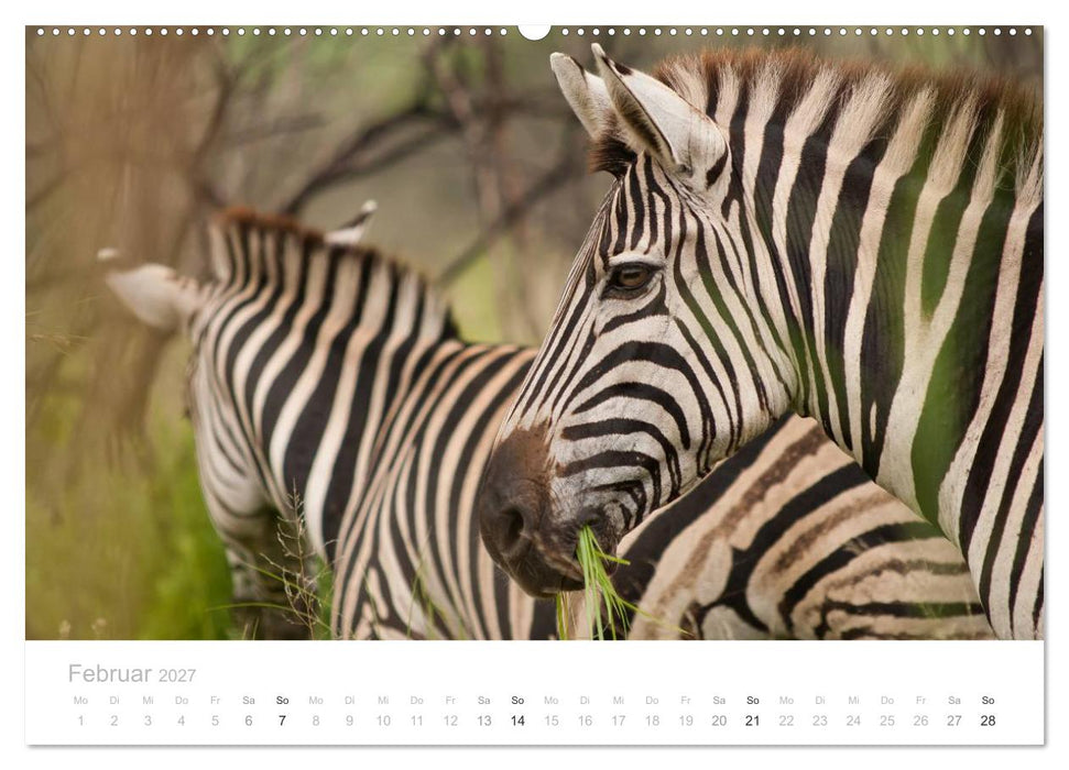 Tierische Glücksmomente mit Weisheiten (CALVENDO Premium Wandkalender 2027)