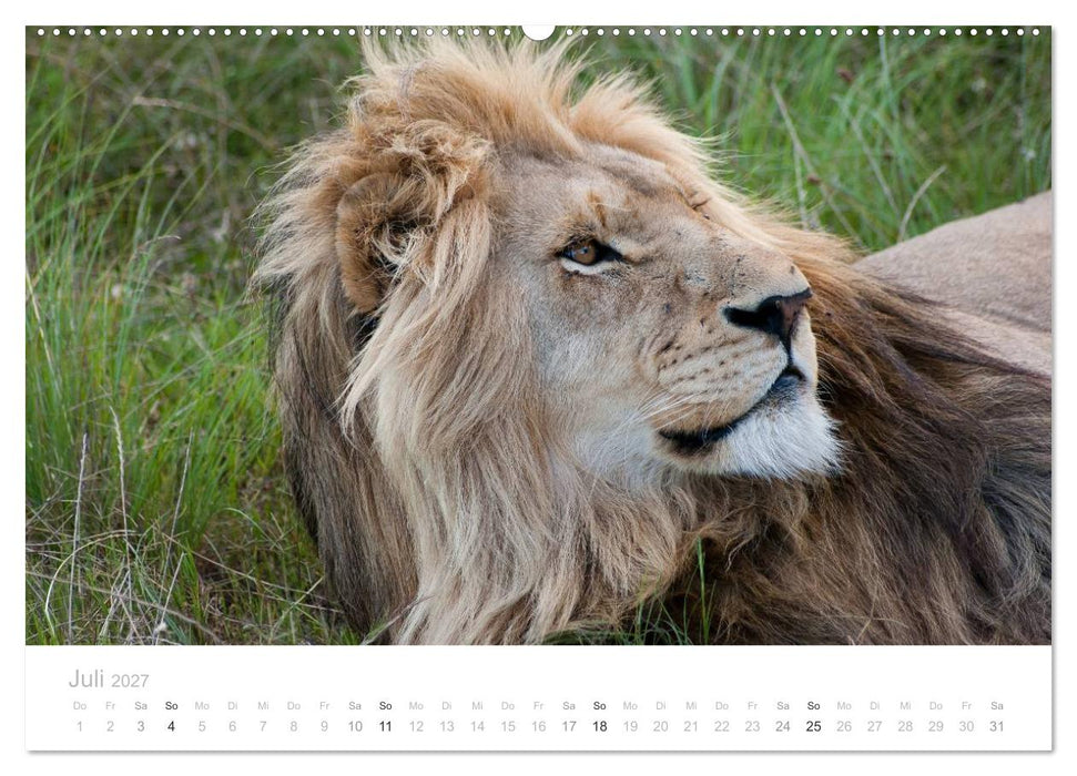 Tierische Glücksmomente mit Weisheiten (CALVENDO Premium Wandkalender 2027)