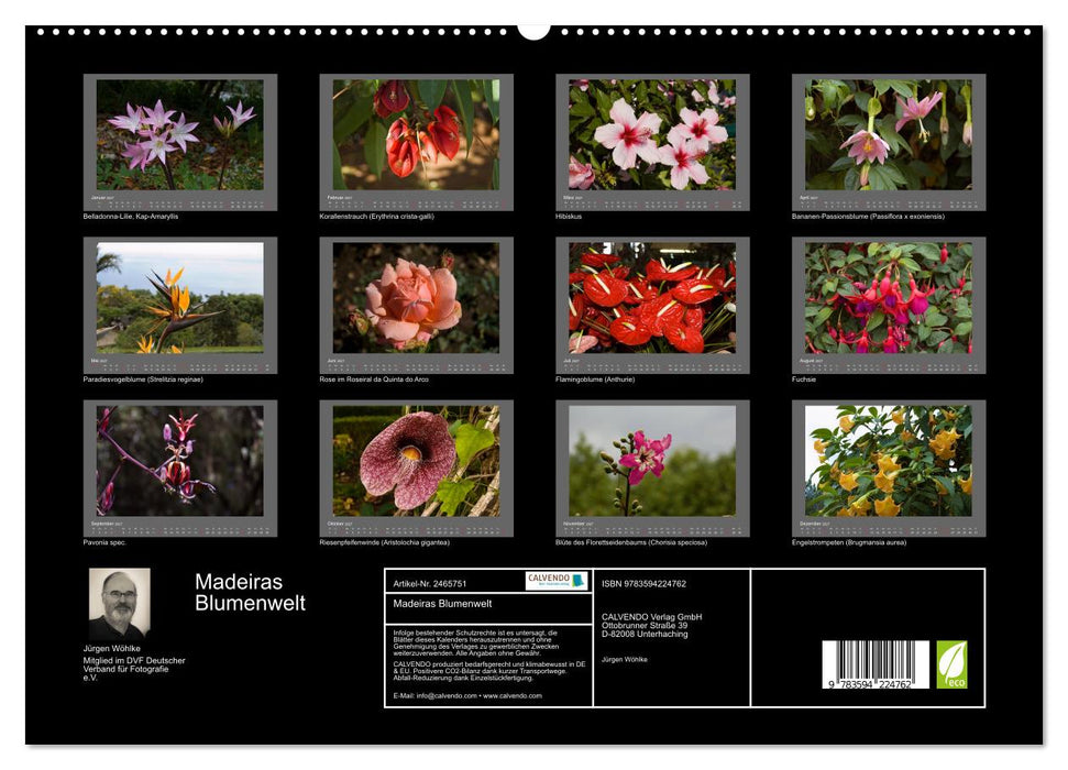 Madeiras Blumenwelt (CALVENDO Premium Wandkalender 2027)