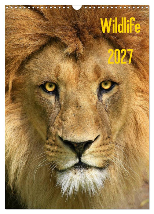 Wildlife 2027 (CALVENDO Wandkalender 2027)