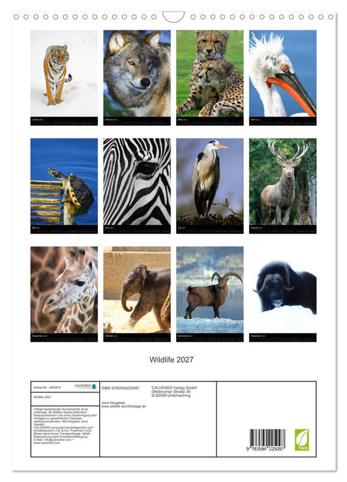 Wildlife 2027 (CALVENDO Wandkalender 2027)