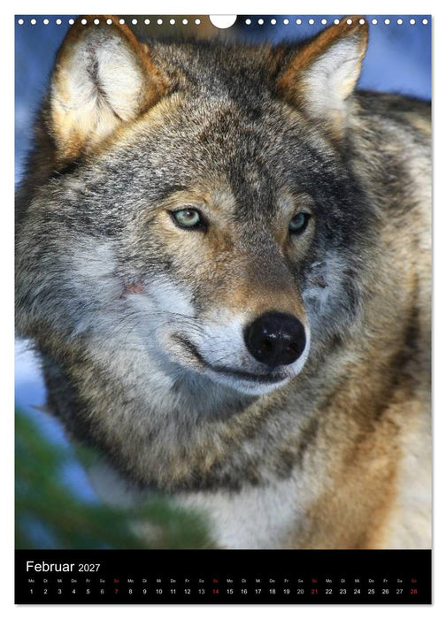 Wildlife 2027 (CALVENDO Wandkalender 2027)