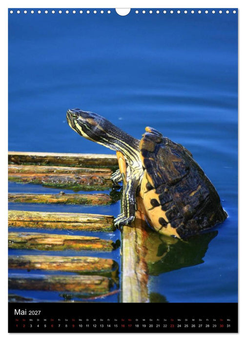 Wildlife 2027 (CALVENDO Wandkalender 2027)