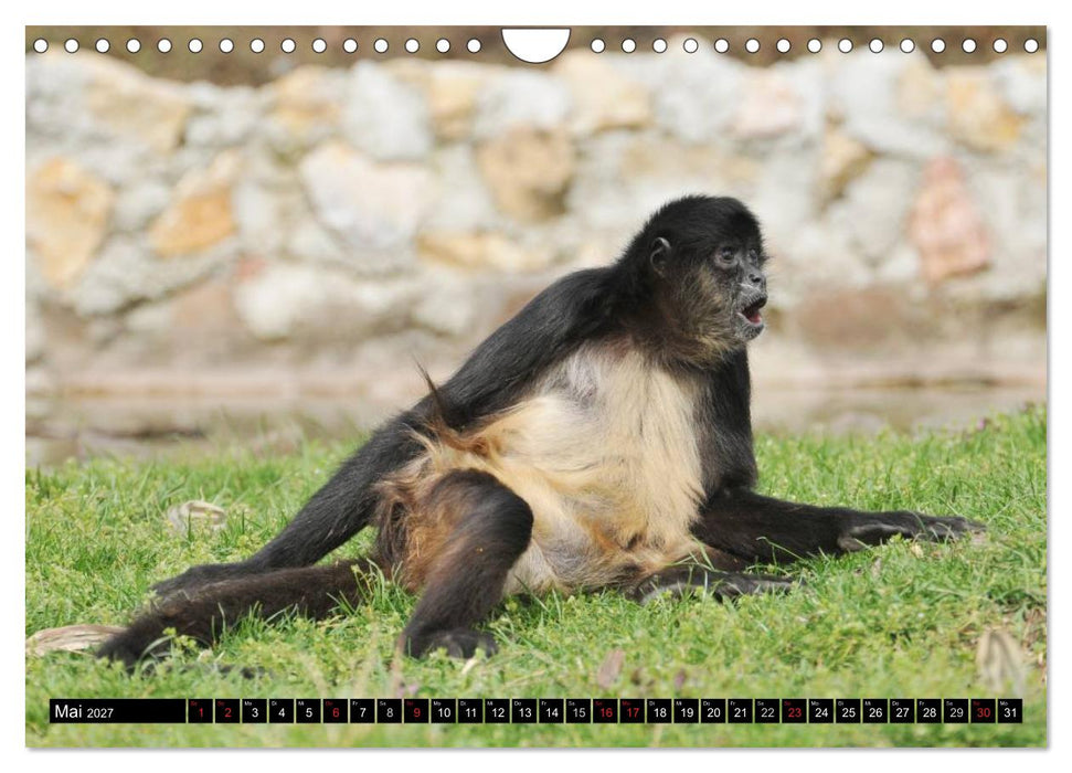 Sri Lanka (CALVENDO Wandkalender 2027)