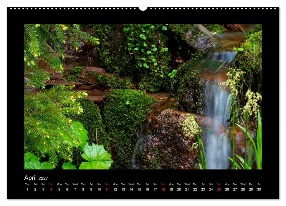 The Black Forest - UK Version (CALVENDO Premium-Calendar 2027)