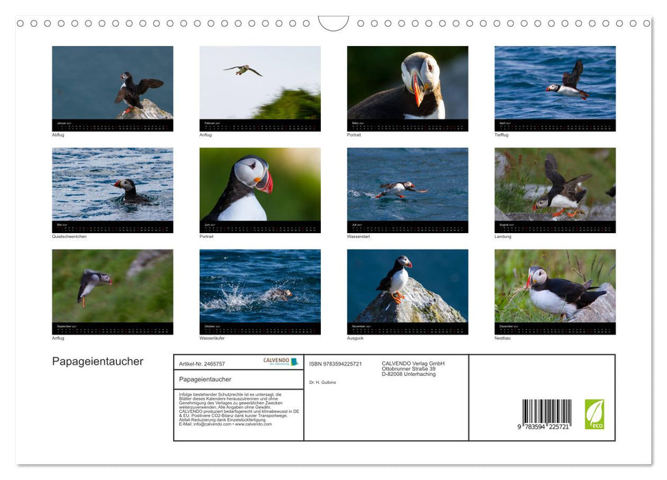 Papageientaucher (CALVENDO Wandkalender 2027)
