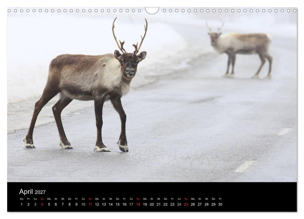Schweden 2027 (CALVENDO Wandkalender 2027)