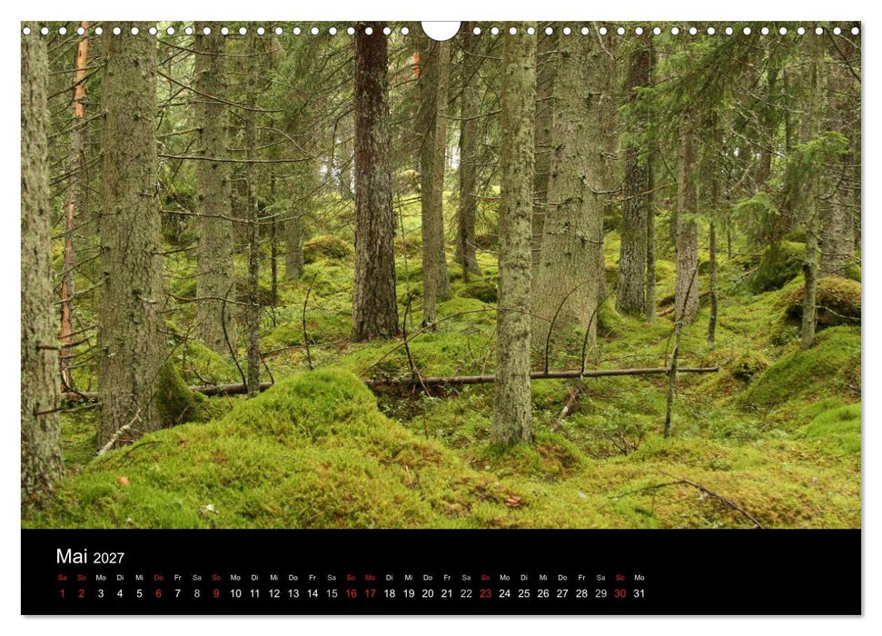 Schweden 2027 (CALVENDO Wandkalender 2027)