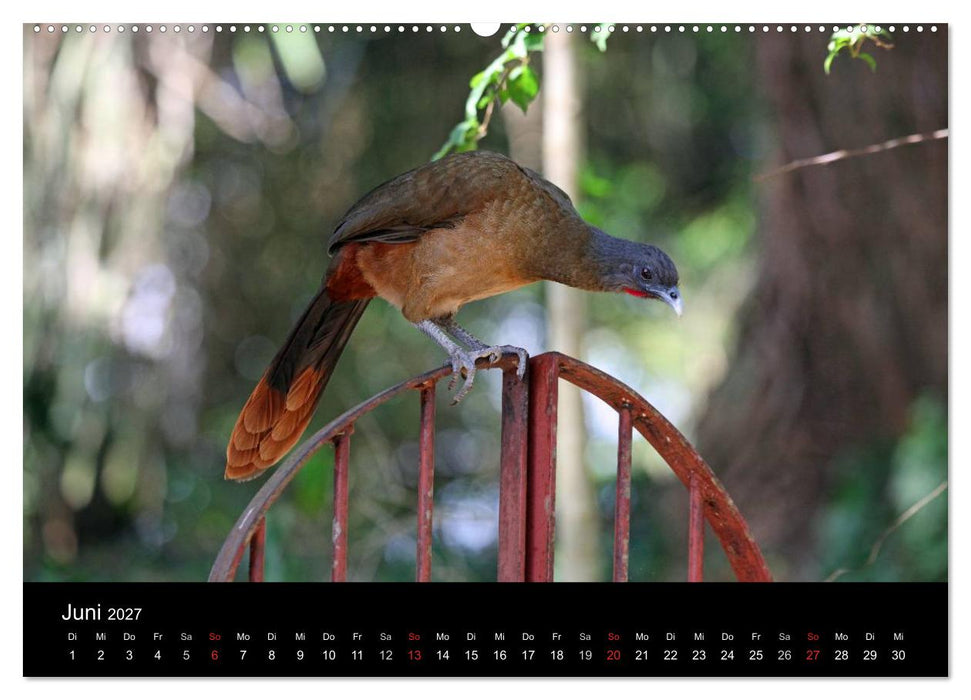 Trinidad & Tobago (CALVENDO Wandkalender 2027)