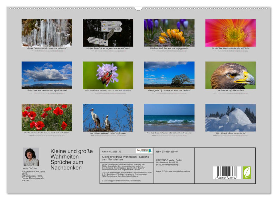 Kleine und große Wahrheiten - Sprüche zum Nachdenken (CALVENDO Premium Wandkalender 2027)