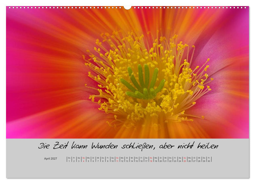 Kleine und große Wahrheiten - Sprüche zum Nachdenken (CALVENDO Premium Wandkalender 2027)