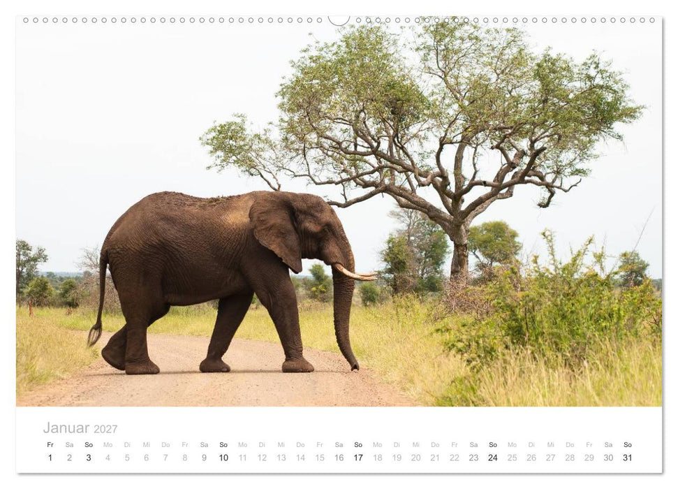 Tierische Glücksmomente mit Weisheiten (CALVENDO Wandkalender 2027)