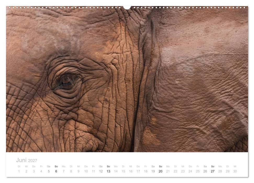 Tierische Glücksmomente mit Weisheiten (CALVENDO Wandkalender 2027)