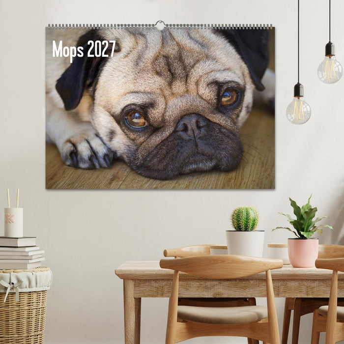 Mops 2027 (CALVENDO Wandkalender 2027)