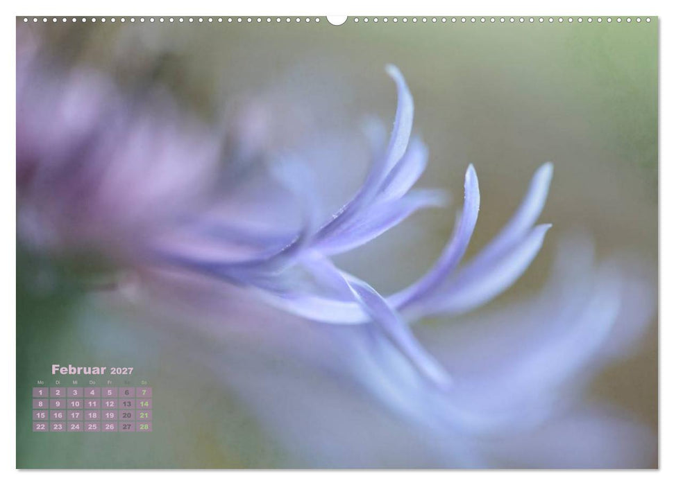 Zauberhafte Blüten (CALVENDO Premium Wandkalender 2027)