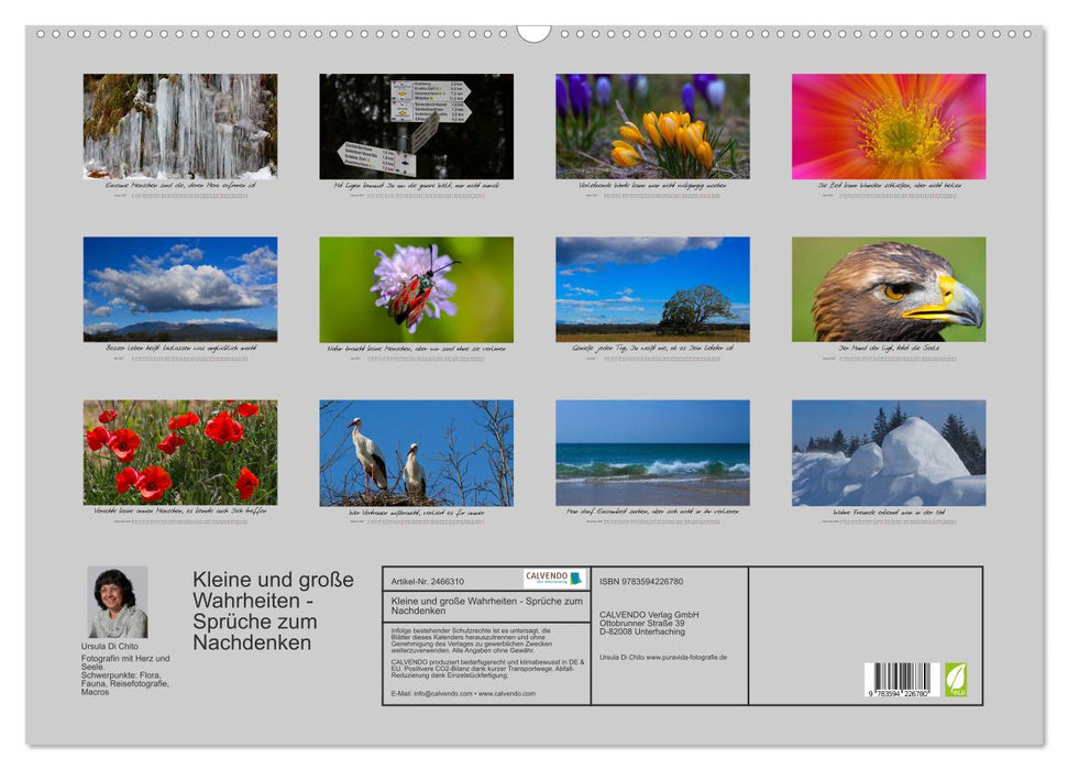 Kleine und große Wahrheiten - Sprüche zum Nachdenken (CALVENDO Wandkalender 2027)